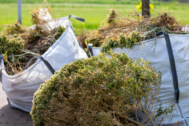 Best Furniture Removal Near Me  in Charlottesville, VA
